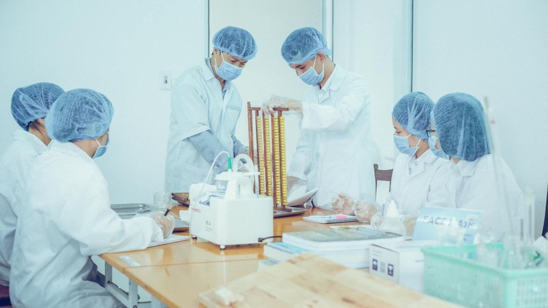 Ứng dụng công nghệ số trong nuôi ong bền vững: Bước tiến quan trọng cho mật ong Việt Nam